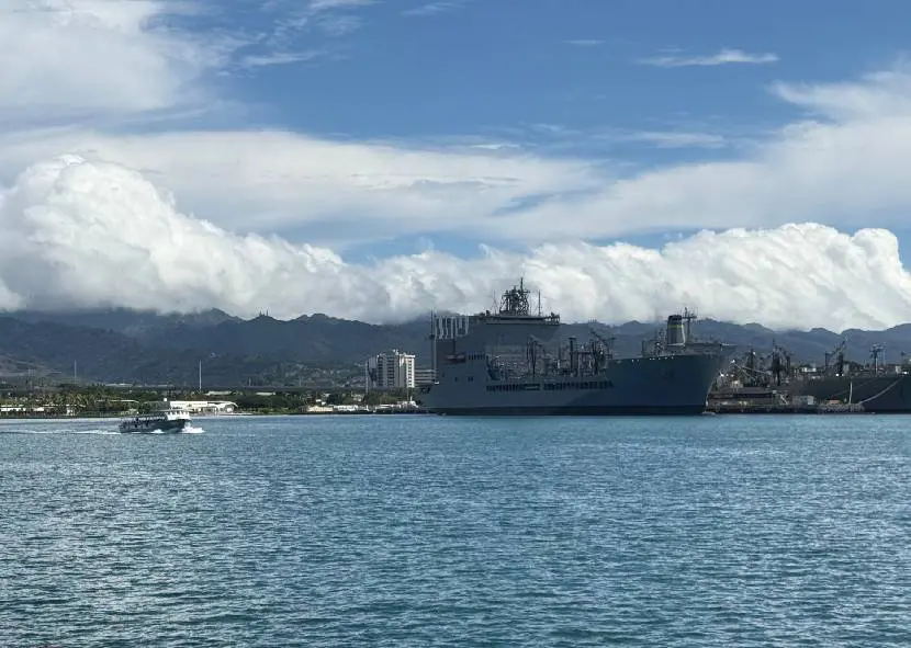 Ships in a harbor with mountains in the distance